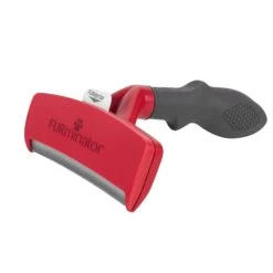 Furminator Brosse Chien Poils Courts 9 Furminator Brosse Chien Poils Courts -Chien Scroquette c2bf7a447e625294f46854ec45b2f55e95acf27f75537324d03ac77d52b2aca5 1