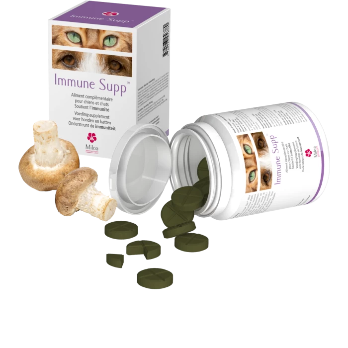 Immune Supp 30 Comprimés 3 Immune Supp 30 Comprimés