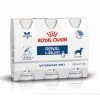 Royal Canin Renal Liquid Chien - 3 Flacons De 200ml -Chien Scroquette d79bdabe63b9cb4814b867ae3836fb72f00f82ba02838efea49021689a20d85b 1
