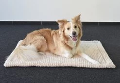 Flamingo Coussin Zupo Plat Rectangulaire Gris 100,5x63x2cm -Chien Scroquette de5c5c4b160eef4ebe924dd58e302b4a4f13be5b0e2b05e1751b339ca6f7eb58