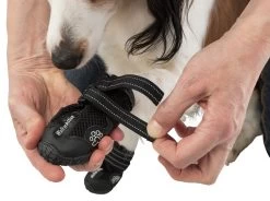 Trixie Chaussures De Protection Walker Active / M 2pcs. 16 Trixie Chaussures De Protection Walker Active / M 2pcs. -Chien Scroquette e08062450bd8a32b408258fb4c31ff7f7447657b0f4f3fa1ecca0f8550d45313 2