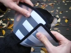 Flamingo Carcan Capo 31,5cm -Chien Scroquette e2578f0de7dfac1a438fa05f0c616aa46fff5514395f242304922963edc56053