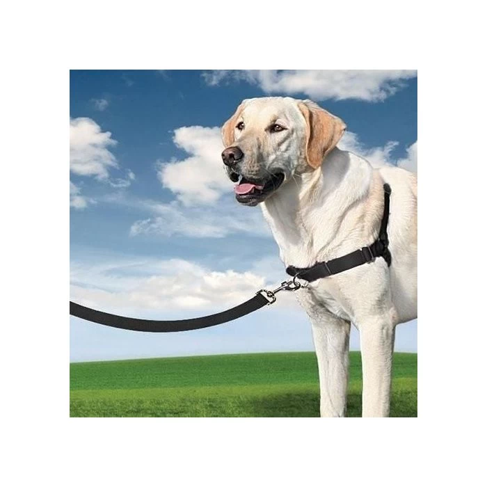 PetSafe Harnais Easy Walk 8 PetSafe Harnais Easy Walk – Image 6