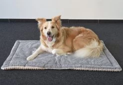 Flamingo Coussin Zupo Plat Rectangulaire Gris 100,5x63x2cm -Chien Scroquette ed981943eaed3c8161e97a32c795c87794e26981df13a2dc04c0858f21b9fedd