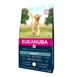 Eukanuba Adult Large Breed Pour Chien Agneau & Riz 12kg