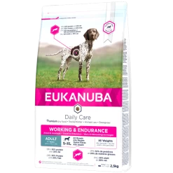 Chien Scroquette -Chien Scroquette eukanuba daily care working endurance new 1