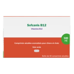 Sofcanis B12 40 Comprimés