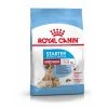 Royal Canin Medium Starter Mother & Babydog - 15Kg -Chien Scroquette httpswww.pharmapets.bemediafotospackshot starter medium shn17 editable version 1