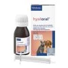 Hyaloral Solution 50ml -Chien Scroquette hyaloral solution 50 ml 1