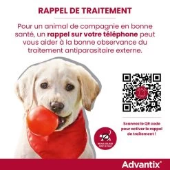 Bayer Advantix Grand Chien 25-40Kg -Chien Scroquette rappel traitement advantix FR 6