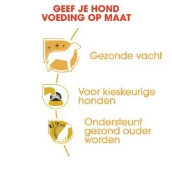 Royal Canin Yorkshire Adult Pour Chien 1,5kg -Chien Scroquette rc bhn yorkshire cv eretailkit 3 nl nl