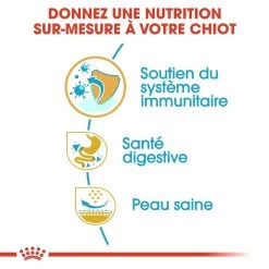 Royal Canin French Bulldog Chiot Pour Chien 10kg -Chien Scroquette royal canin bouledogue francais puppy bouledogue francais junior 2