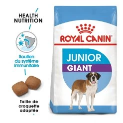 Royal Canin Giant Junior Pour Chien 15kg 9 Royal Canin Giant Junior Pour Chien 15kg -Chien Scroquette royal canin giant junior giant junior 1