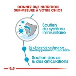 Royal Canin Giant Junior Pour Chien 15kg 10 Royal Canin Giant Junior Pour Chien 15kg -Chien Scroquette royal canin giant junior giant junior 2