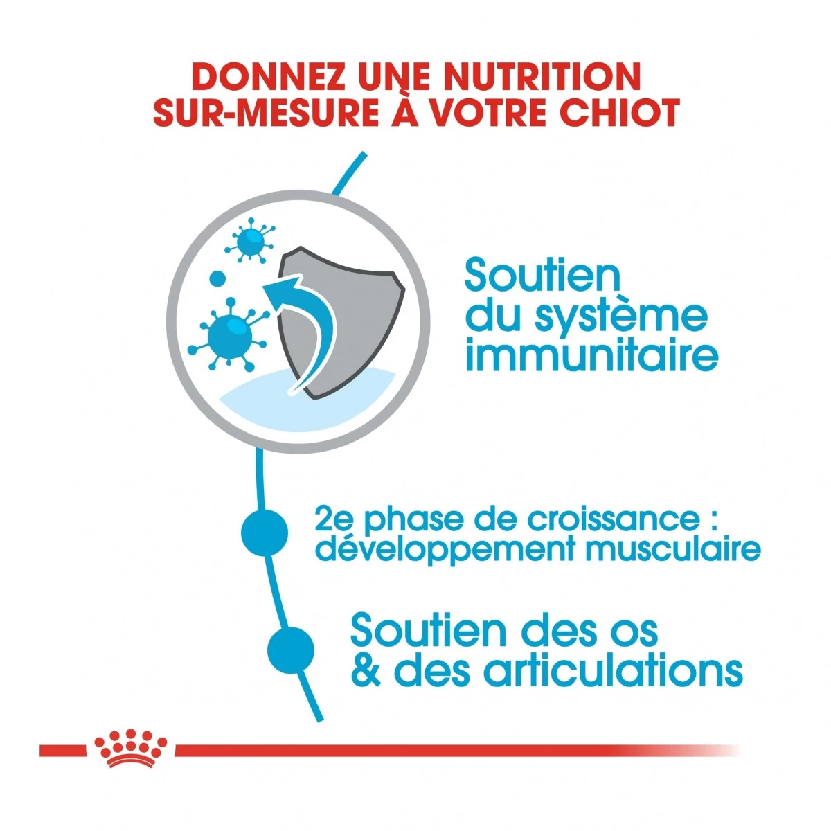 Royal Canin Giant Junior Pour Chien 15kg 6 Royal Canin Giant Junior Pour Chien 15kg – Image 4