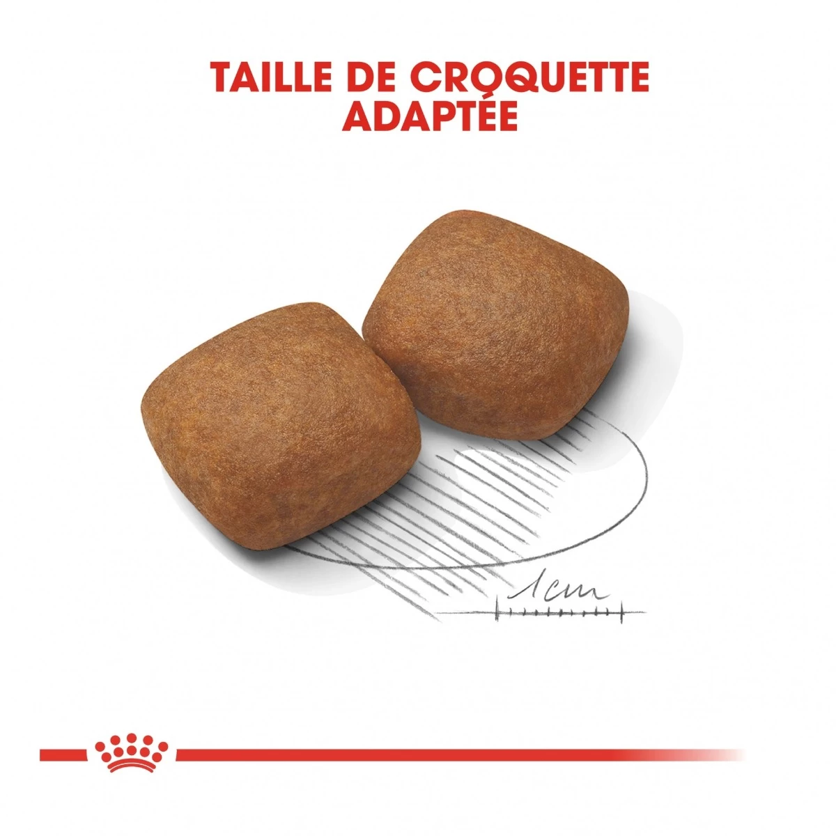 Royal Canin Giant Junior Pour Chien 15kg 7 Royal Canin Giant Junior Pour Chien 15kg – Image 5