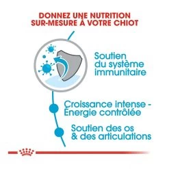 Royal Canin Giant Puppy Pour Chien - 15kg 10 Royal Canin Giant Puppy Pour Chien - 15kg -Chien Scroquette royal canin giant puppy giant puppy 2