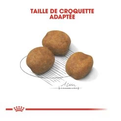 Royal Canin Giant Puppy Pour Chien - 15kg 11 Royal Canin Giant Puppy Pour Chien - 15kg -Chien Scroquette royal canin giant puppy giant puppy 3