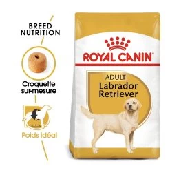 Royal Canin Labrador Retriever Adult Pour Chien 12kg -Chien Scroquette royal canin labrador retriever adult croquettes pour chien labrador retriever adulte 1