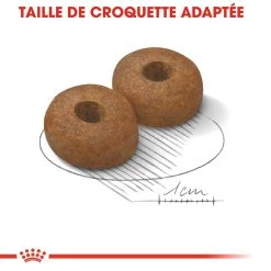 Royal Canin Maxi Ageing 8+ Pour Chien 15kg -Chien Scroquette royal canin maxi ageing croquettes pour chien maxi ageing 2