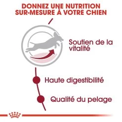 Royal Canin Medium Adult 7+ Pour Chien 15kg 11 Royal Canin Medium Adult 7+ Pour Chien 15kg -Chien Scroquette royal canin medium adult medium adult 2