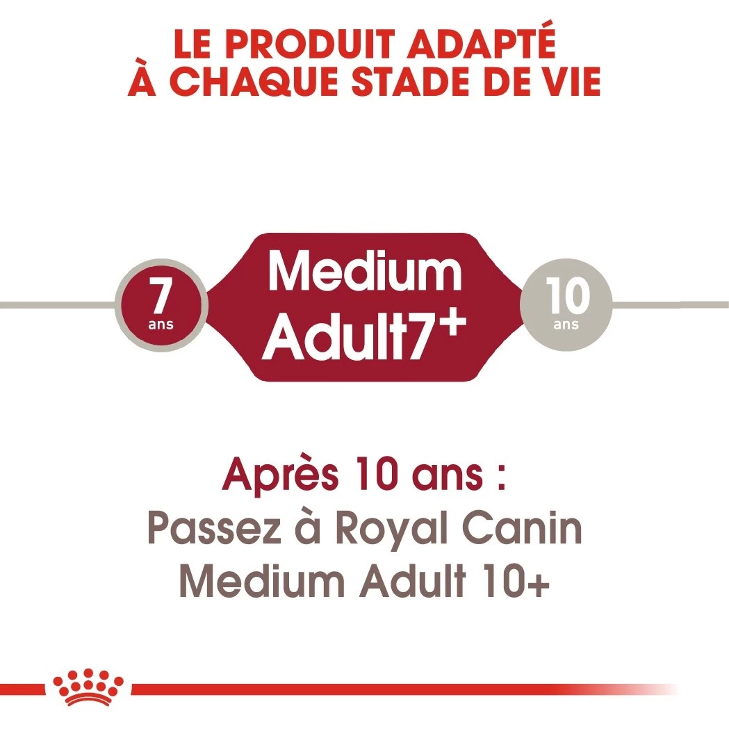 Royal Canin Medium Adult 7+ Pour Chien 15kg 8 Royal Canin Medium Adult 7+ Pour Chien 15kg – Image 6
