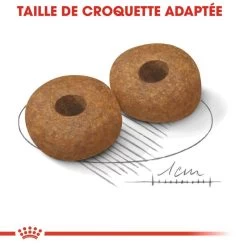 Royal Canin Medium Ageing 10+ Pour Chien 15kg 10 Royal Canin Medium Ageing 10+ Pour Chien 15kg -Chien Scroquette royal canin medium ageing medium ageing 2