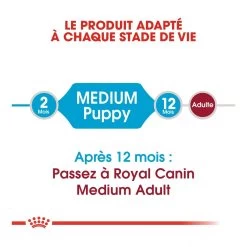 Royal Canin Medium Junior Pour Chien -Chien Scroquette royal canin medium puppy croquettes pour chiot medium puppy 2 1