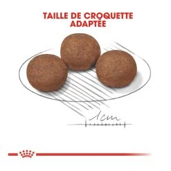 Royal Canin Medium Junior Pour Chien -Chien Scroquette royal canin medium puppy croquettes pour chiot medium puppy 4 1