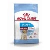 Royal Canin Medium Junior Pour Chien -Chien Scroquette royal canin puppy medium