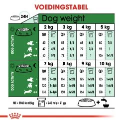 Chien Scroquette -Chien Scroquette royal canin mini adult volwassen hond kleine hondenrassen hero adh