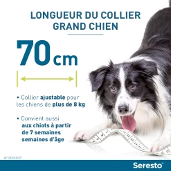 Seresto Collier Chien -Chien Scroquette seresto grand chien longueur du collier