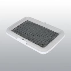 Set D'éducation Pour Chiot 9 Set D'éducation Pour Chiot -Chien Scroquette set education chiot4