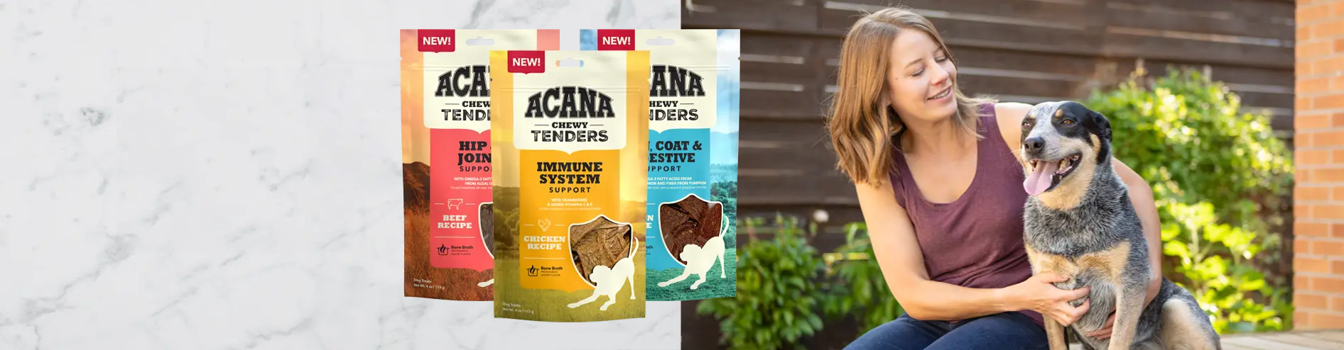 Chien Scroquette -Chien Scroquette